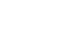 WEBFLOW EXPERT